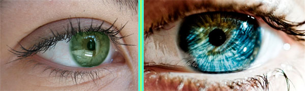 От чего зависит цвет ваших глаз?